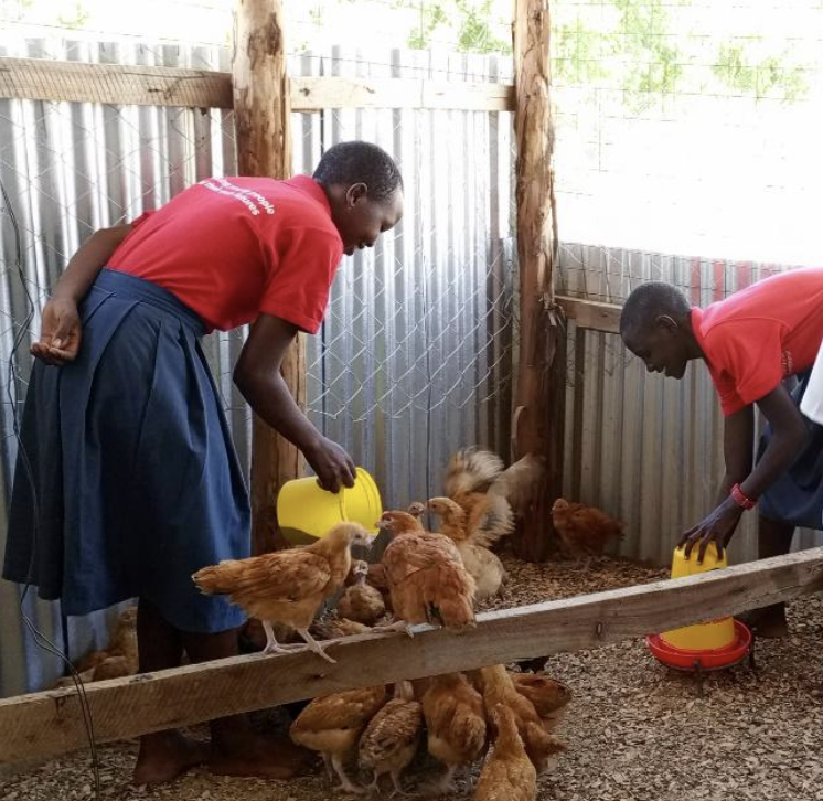 The Story of Riziki Poultry Farm: Youthful Resilience and Entrepreneurial Spirit in Africa